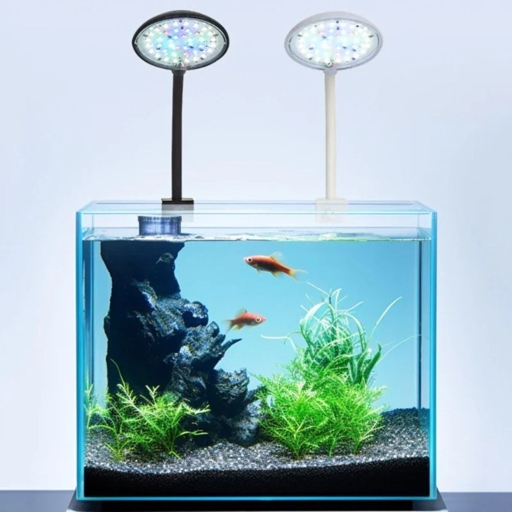 Live Fish Aquarium - Mini Fish Tank Clip Lamp 360-Degree