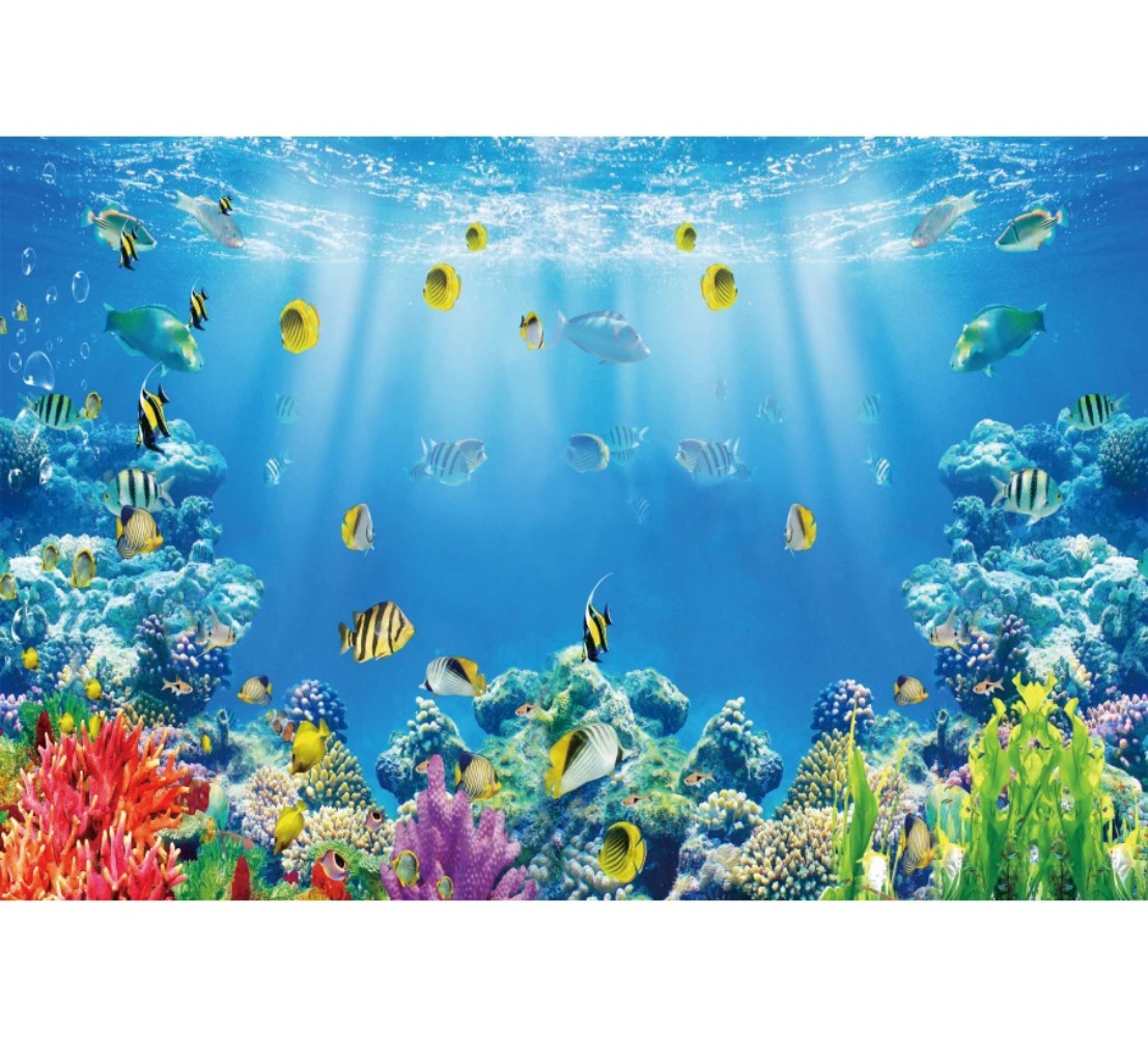 Underwater World Fish Coral Aq - Aquarium Fish World review and price