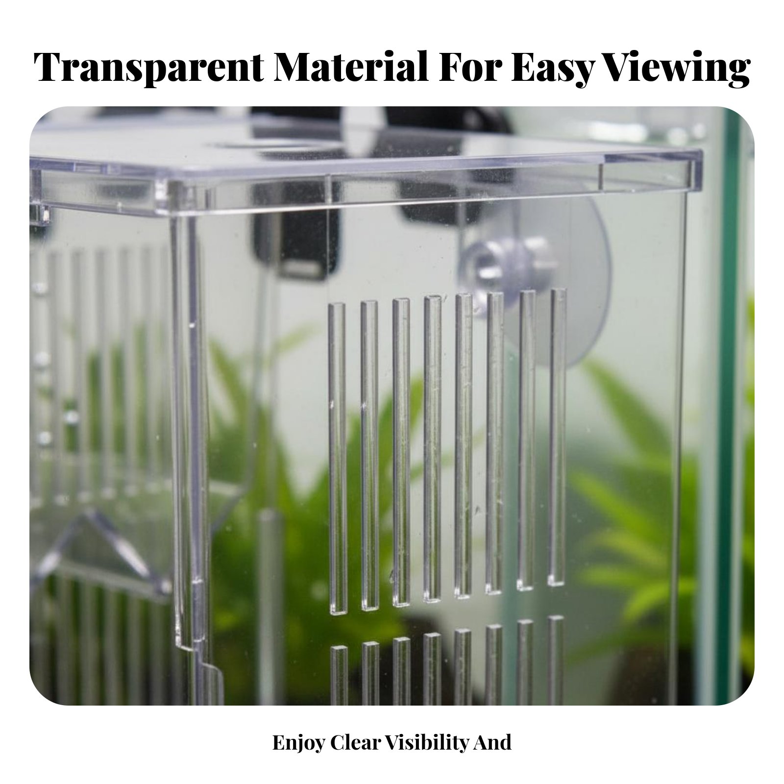 Aquatic Habitat Hatchery Box P - Aquarium Fish In review and price
