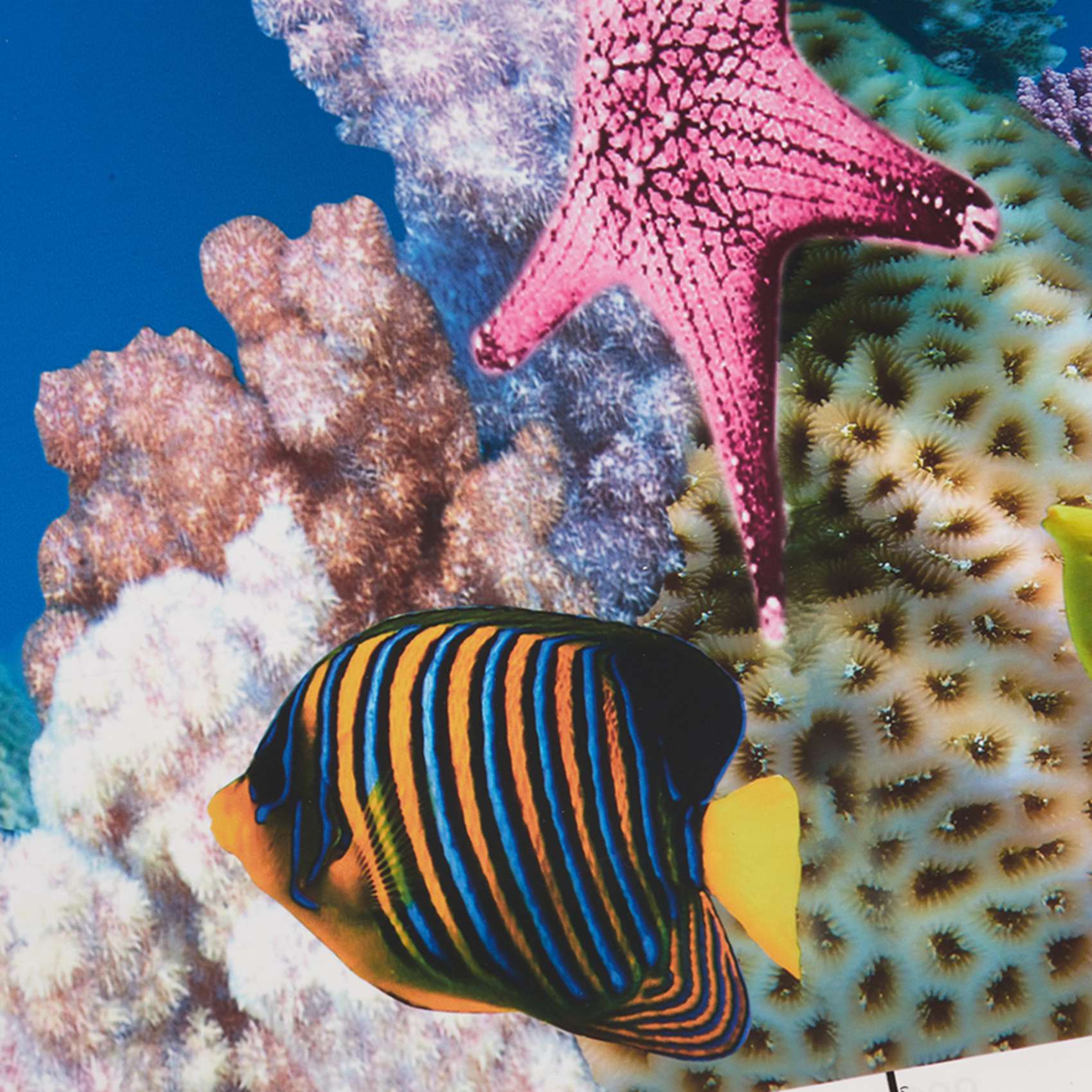 ABWR-Aquarium Background Paper - Fish In Aquarium Picture review and price