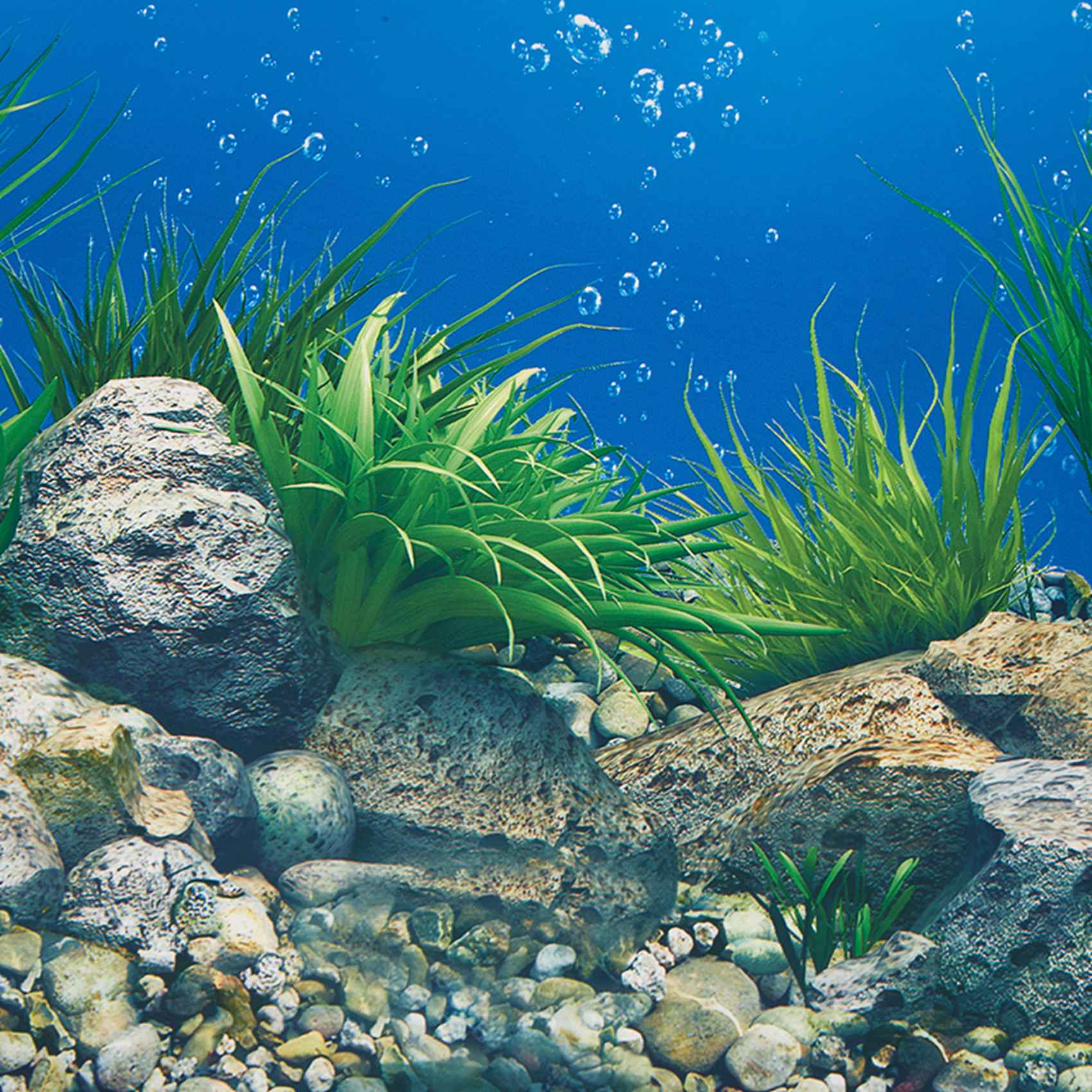 ABWR-Aquarium Background Paper - Fish In Aquarium Picture review and price