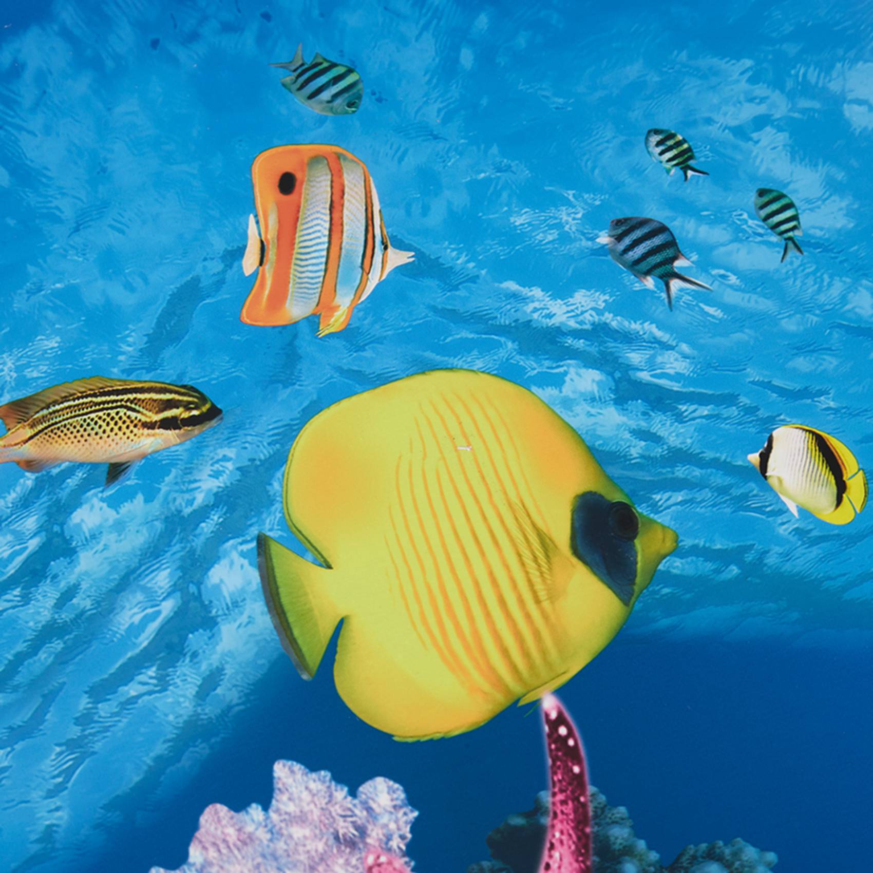 ABWR-Aquarium Background Paper - Fish In Aquarium Picture review and price