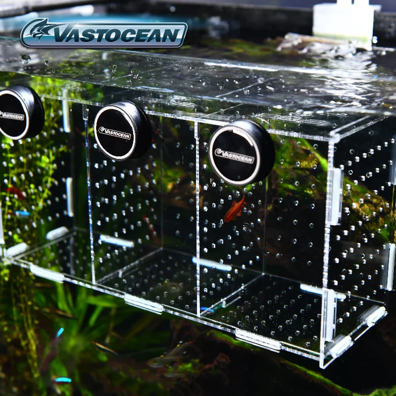 VASTOCEAN Fish Tank Magnetic C - Aquarium Fish Cave review and price