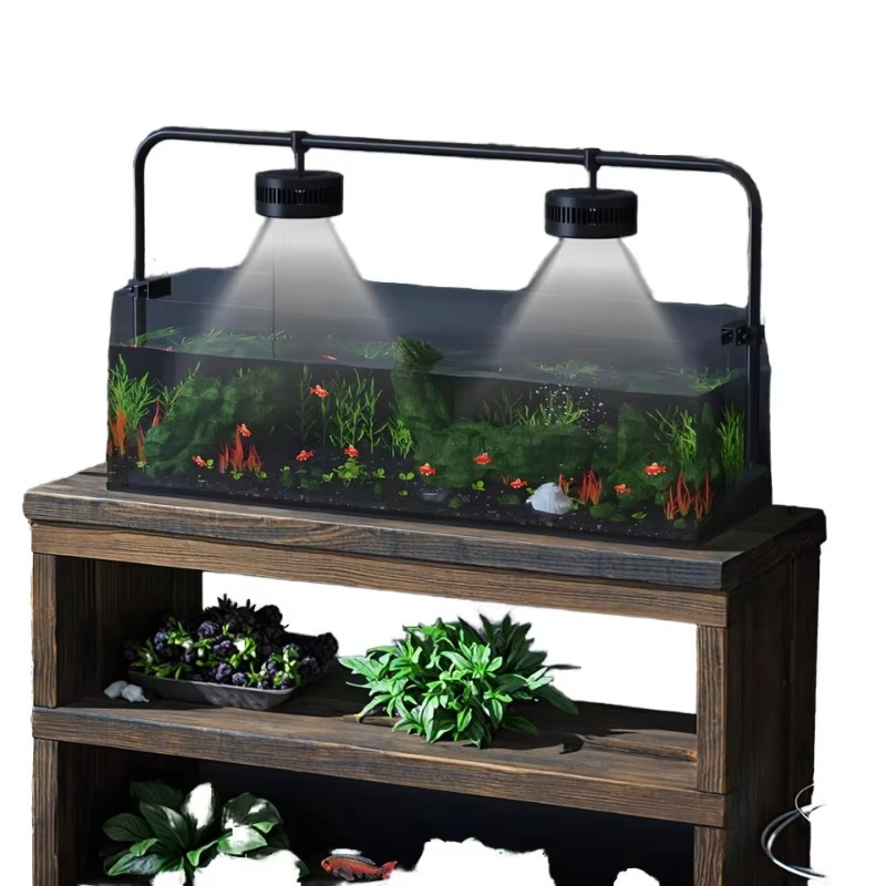 Jecod CLD Full-Spectrum LED Aq - Live Fish Aquarium review and price