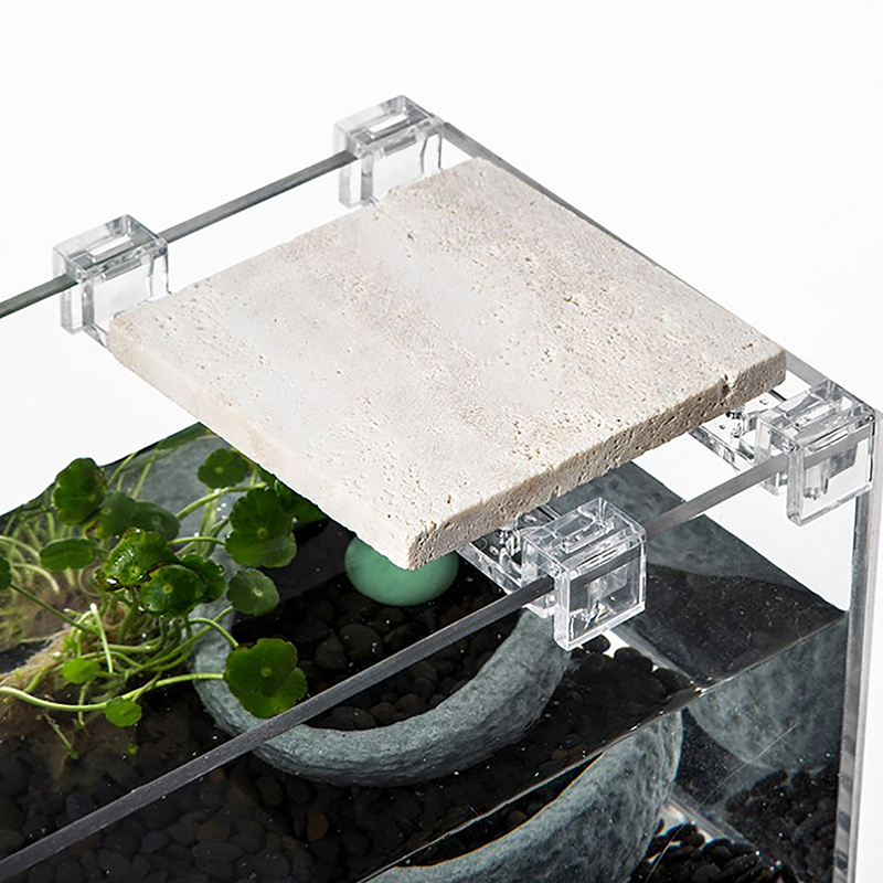 4Pcs Fish Tank Acrylic Clips f - Aquarium Fish Elevator review and price