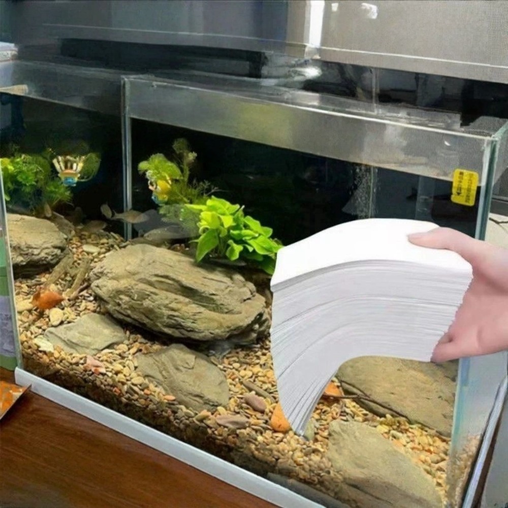 50pcs Multifunctional Filter A - Aquarium Fish Yellow review and price