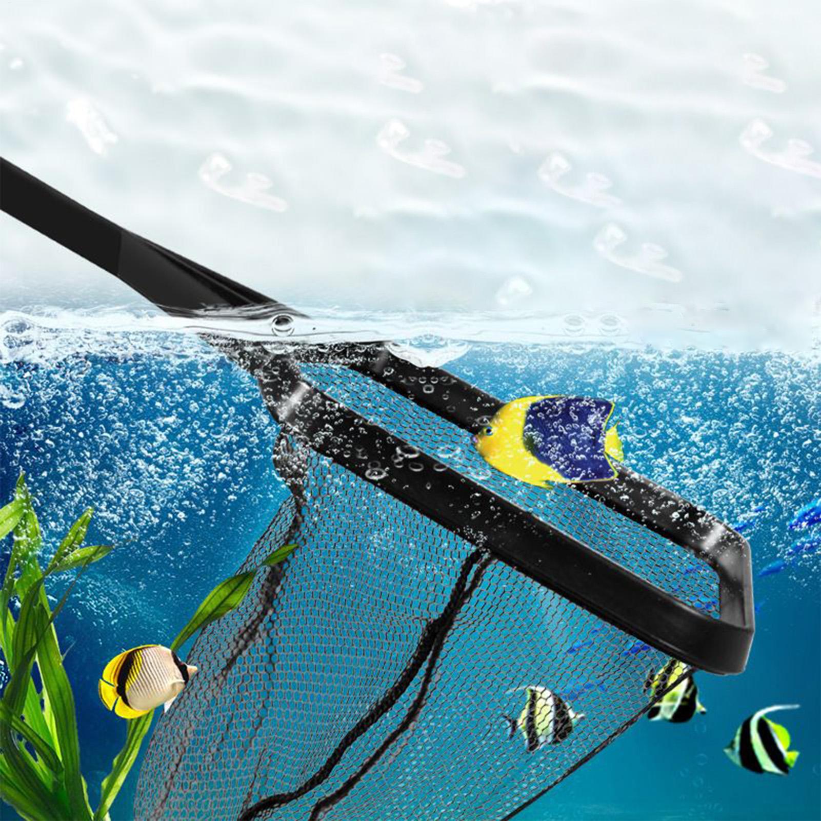 Pool Net Fish Tank Salvage Net - Aquarium Fish Maintenance review and price