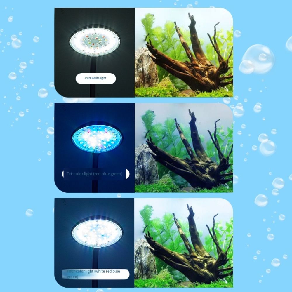 Mini Fish Tank Clip Lamp 360-D - Live Fish Aquarium review and price