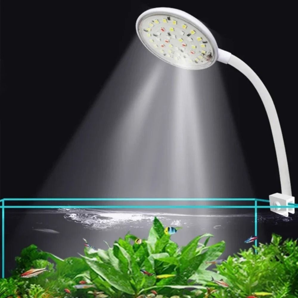 Mini Fish Tank Clip Lamp 360-D - Live Fish Aquarium review and price