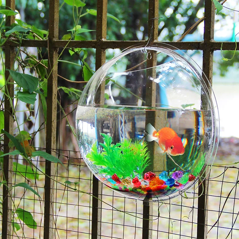 Pinsjar Acrylic Fish Bowl Wall - Aquarium Fish Betta review and price