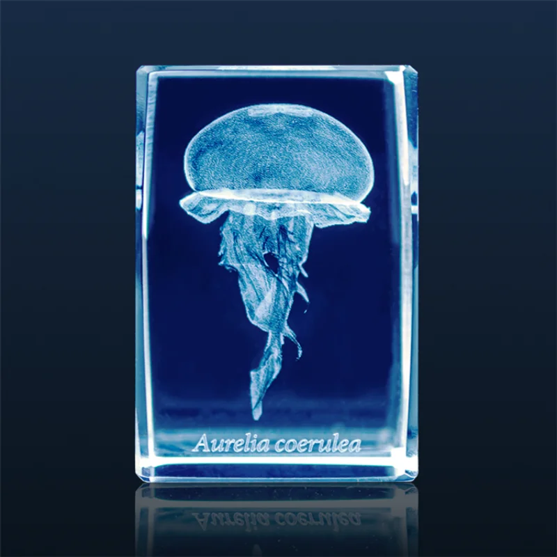 Japan Gashapon Jellyfish 3D Cr - Aquarium Fish Japan review and price