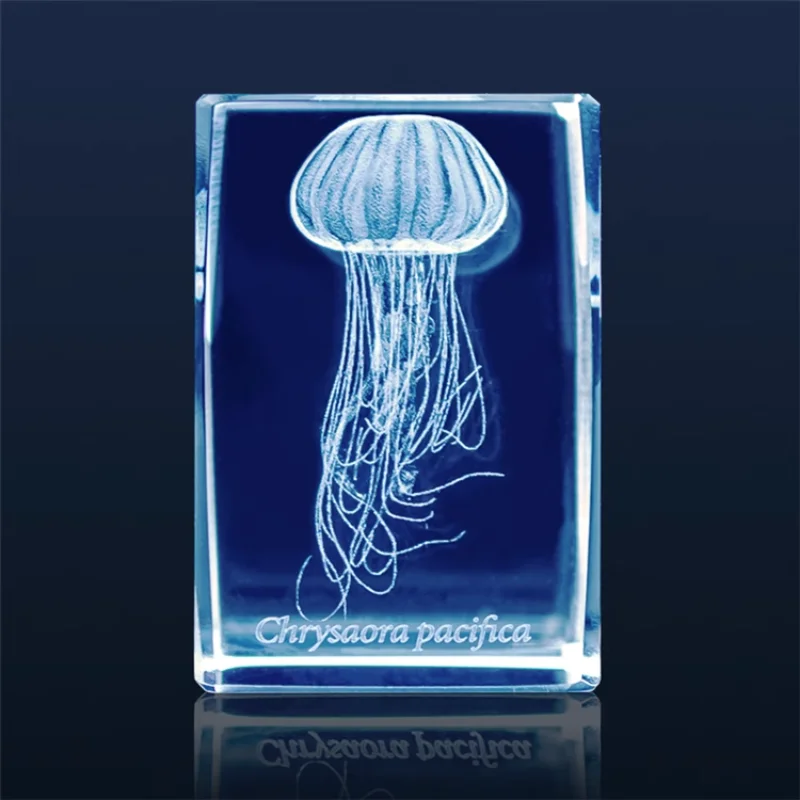 Japan Gashapon Jellyfish 3D Cr - Aquarium Fish Japan review and price