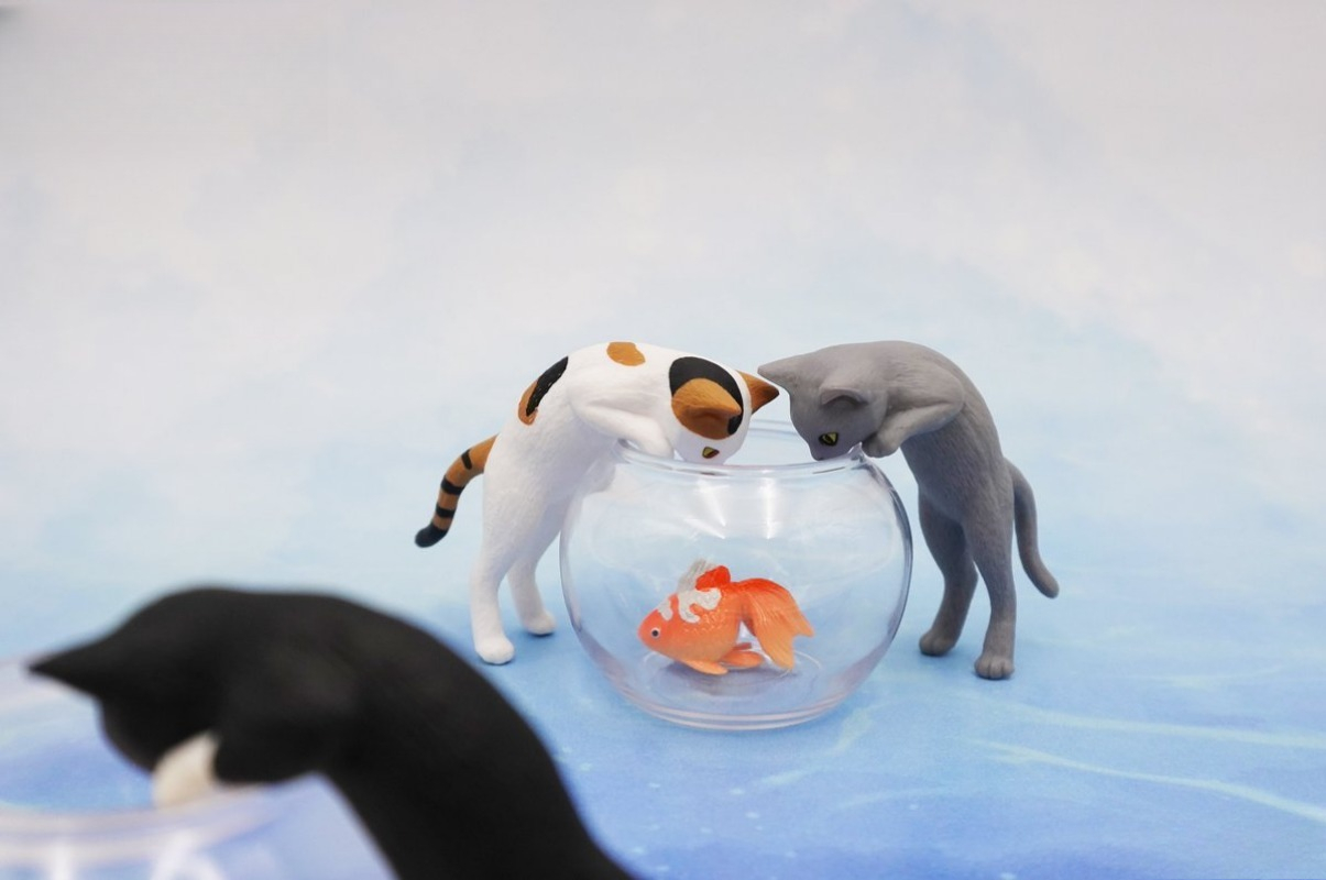 Original capsule toys cute kaw - Aquarium Fish Japan review and price