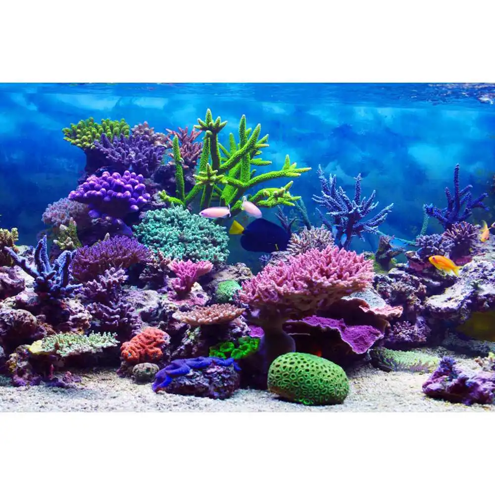 Underwater World Seabed Backdr - Aquarium Fish World review and price