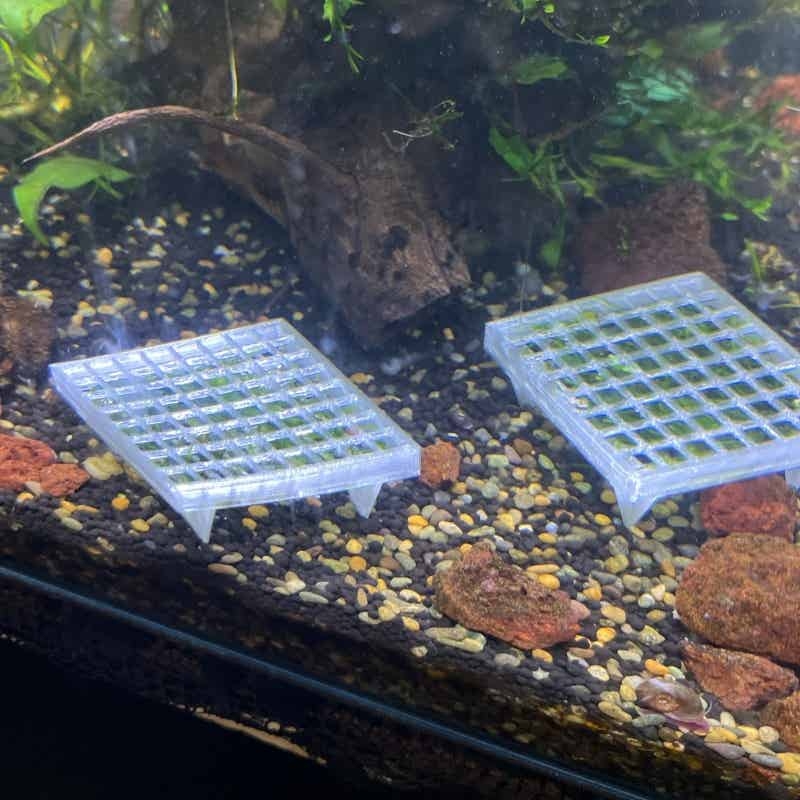 Aquarium Moss Mesh Holder Elev - Aquarium Fish Elevator review and price