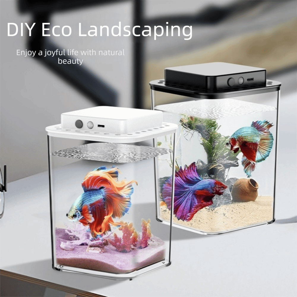 Transparent Betta Fish Tank In - Aquarium Fish Betta review and price