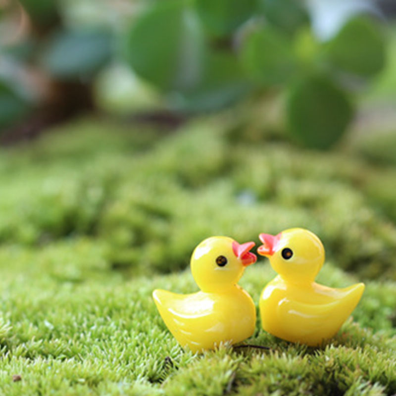Cute Mini Yellow Duck Floating - Aquarium Fish Yellow review and price