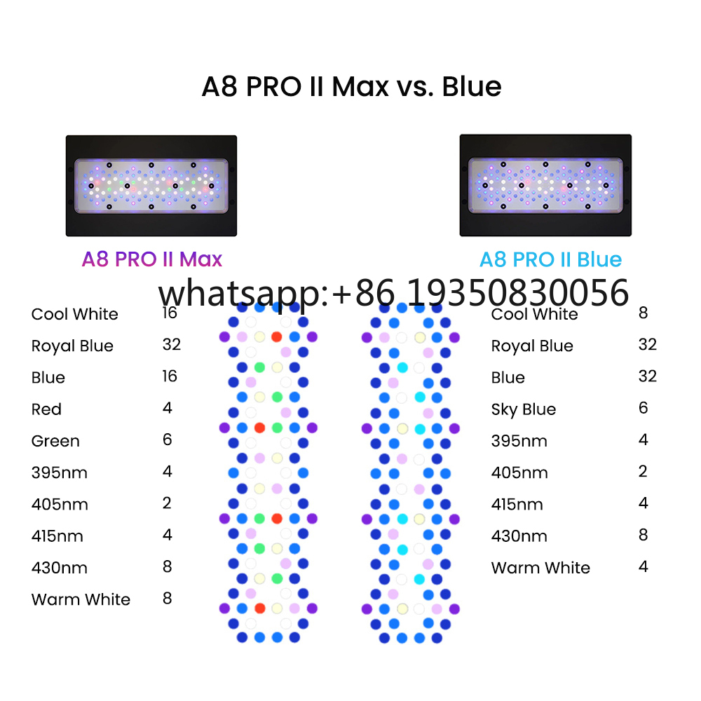 2026-A8 PRO II Max and Blue 24 - Aquarium Fish In review and price