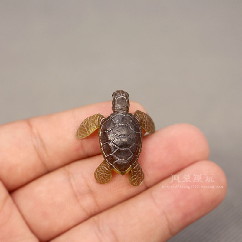 Marine Life Sea Turtle Model O - Aquarium Fish Japan review and price
