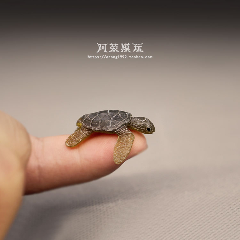 Marine Life Sea Turtle Model O - Aquarium Fish Japan review and price