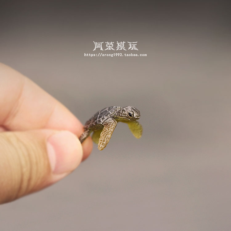 Marine Life Sea Turtle Model O - Aquarium Fish Japan review and price