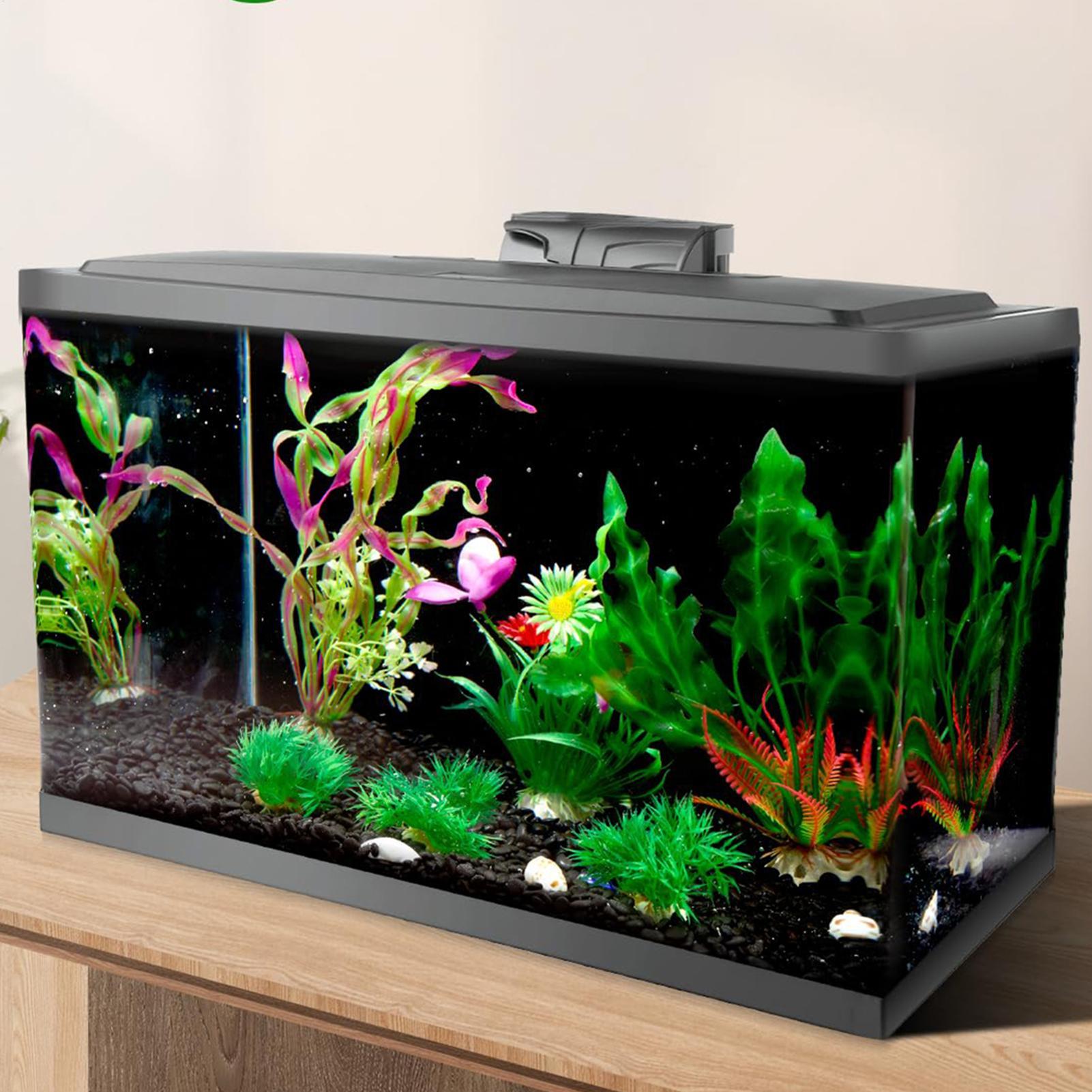 Black Aquarium Background Pict - Fish In Aquarium Picture review and price