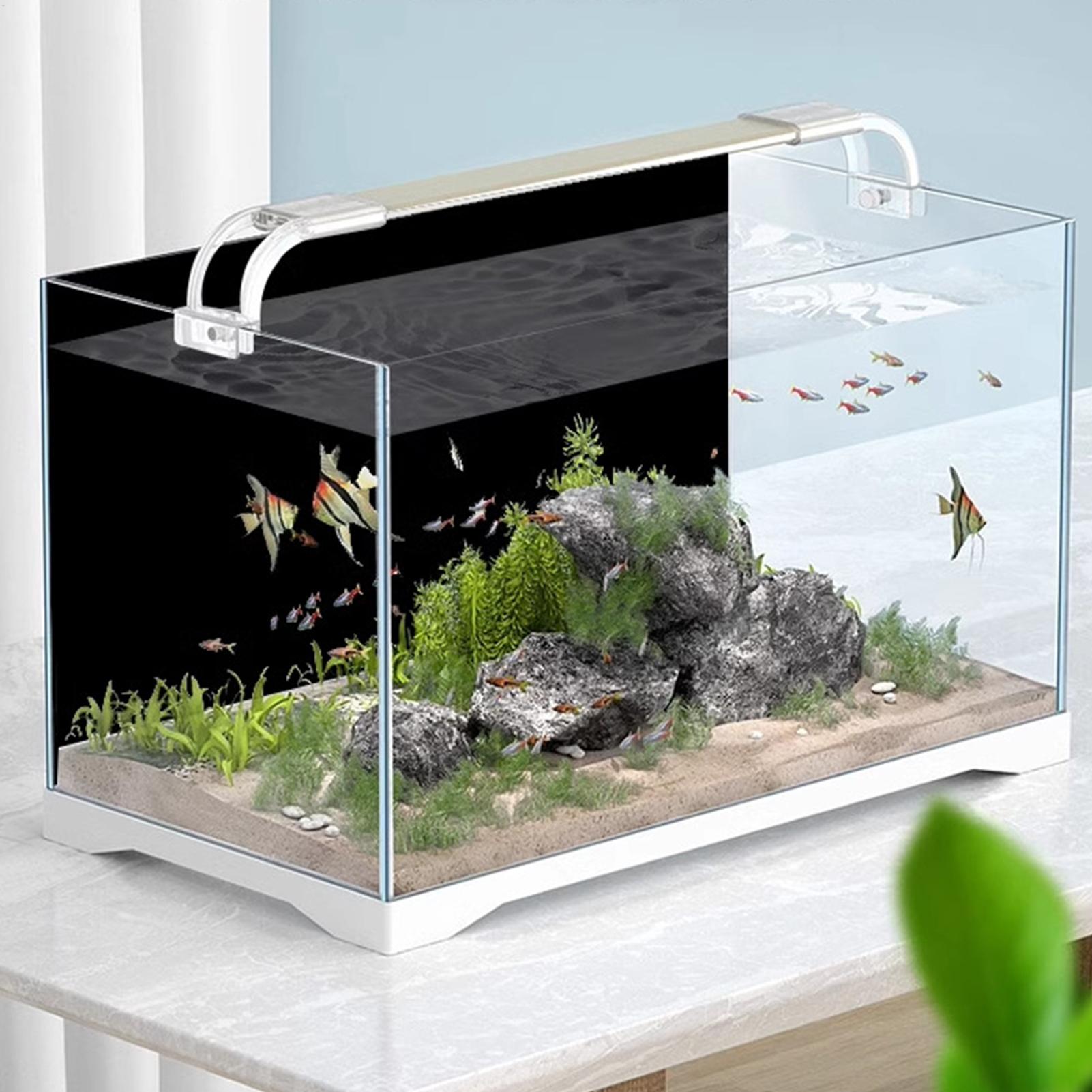 Black Aquarium Background Pict - Fish In Aquarium Picture review and price
