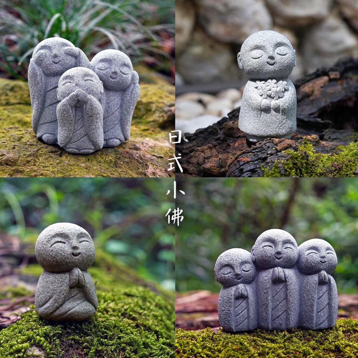 Cute Japanese Monk Kyoto Prefe - Aquarium Fish Japan review and price