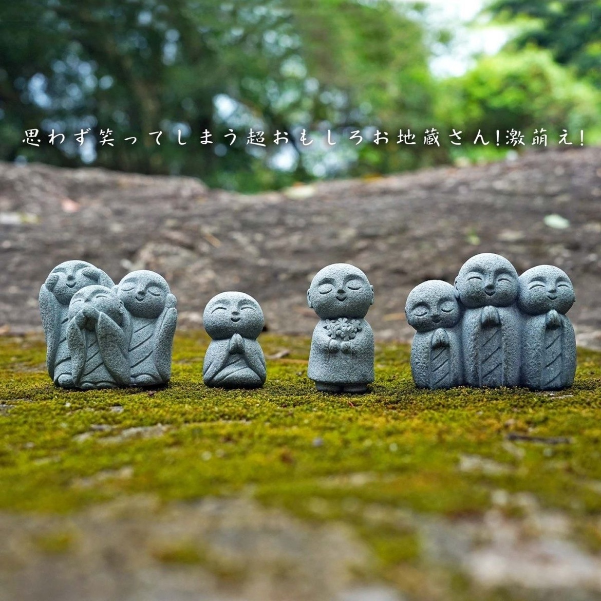 Cute Japanese Monk Kyoto Prefe - Aquarium Fish Japan review and price