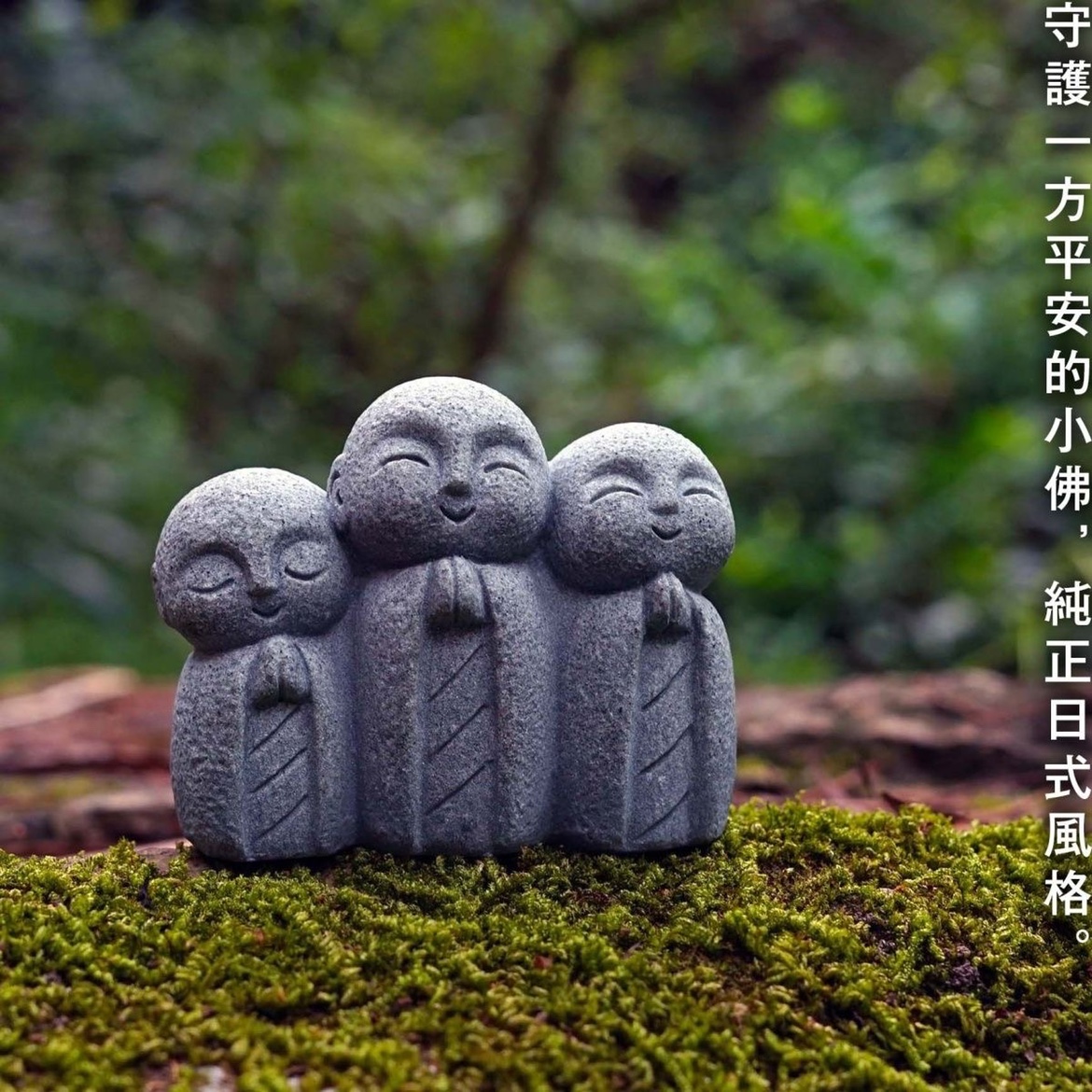 Cute Japanese Monk Kyoto Prefe - Aquarium Fish Japan review and price