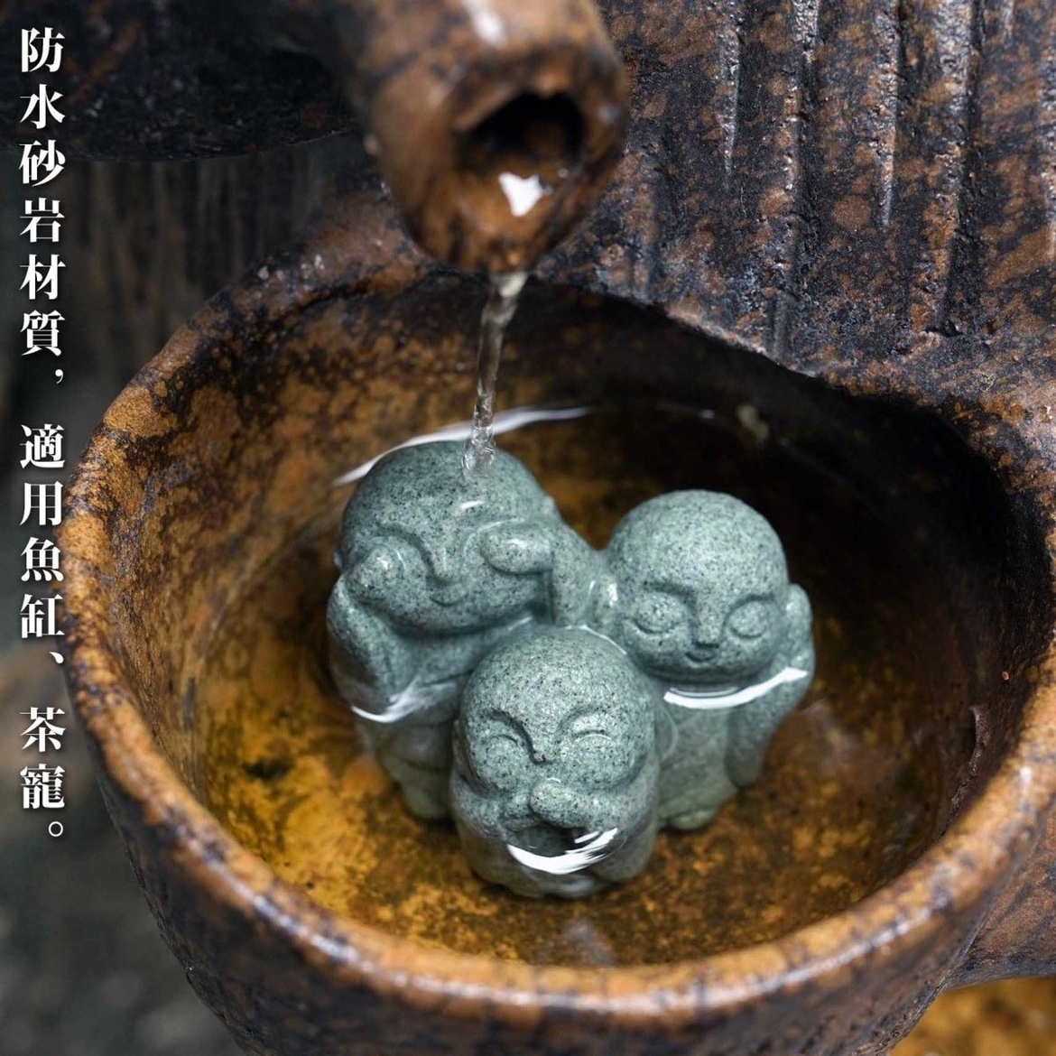 Cute Japanese Monk Kyoto Prefe - Aquarium Fish Japan review and price