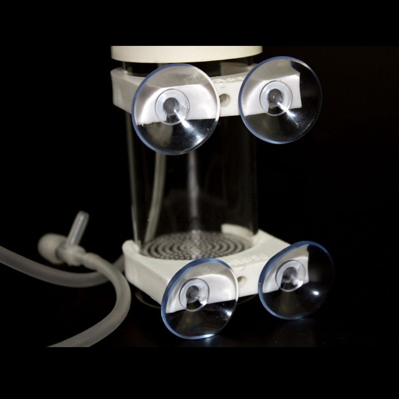 Aquarium Cichlids Tumbler Fish - Aquarium Fish In review and price