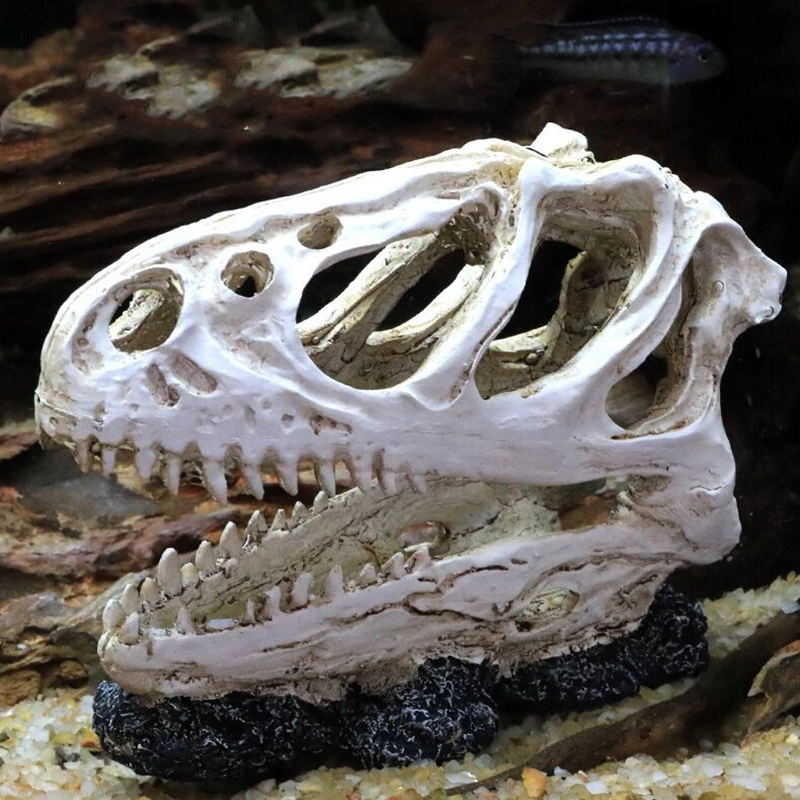 Aquarium Fish Tank Dinosaur He - Aquarium Fish Popular review and price
