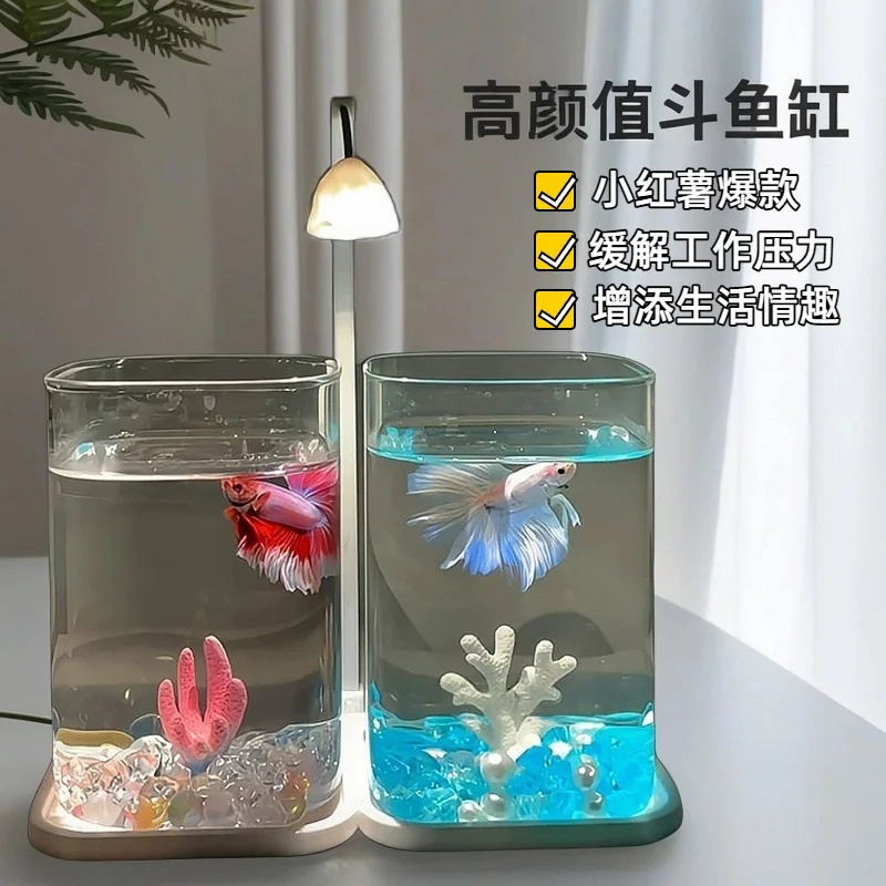 Mini Betta Fish Glass Tank Des - Aquarium Fish Betta review and price