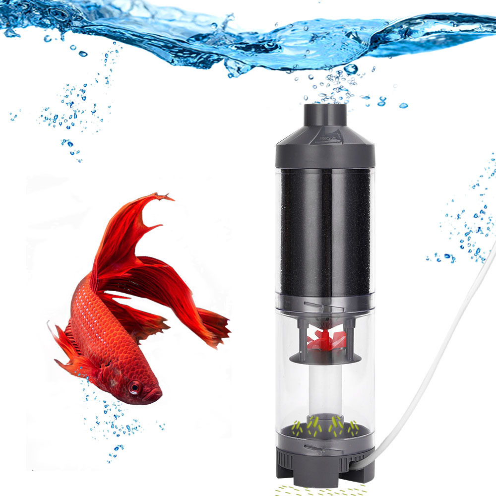 Popular Hot sell Aquarium Fish - Aquarium Fish Popular review and price