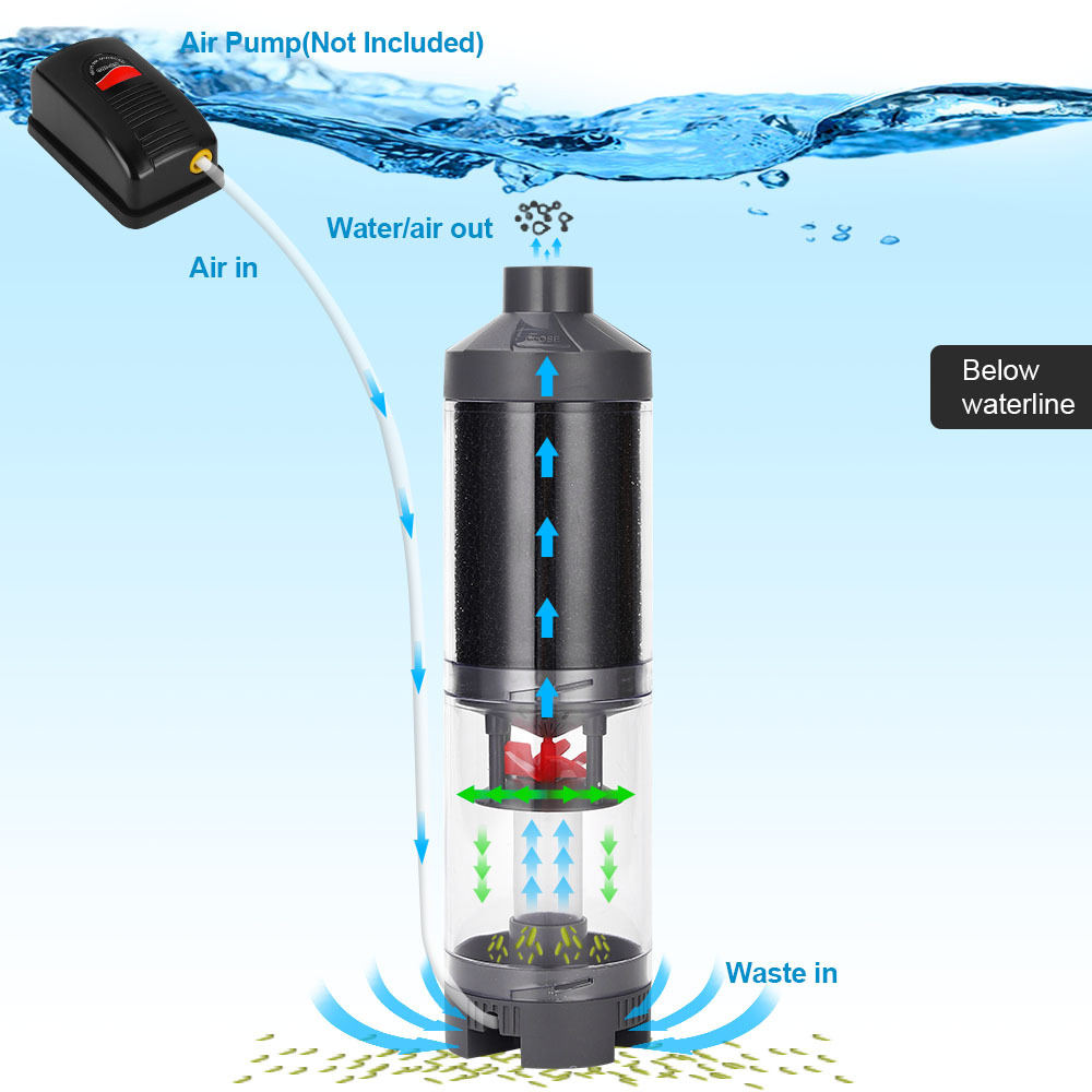 Popular Hot sell Aquarium Fish - Aquarium Fish Popular review and price