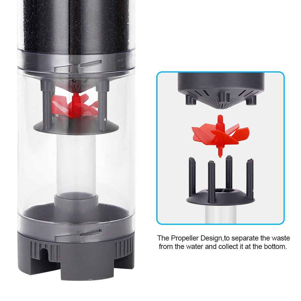 Popular Hot sell Aquarium Fish - Aquarium Fish Popular review and price
