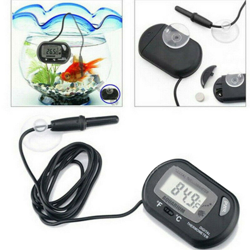 1PC 58*37mm Fish Tank Digital  - Aquarium Fish Yellow review and price