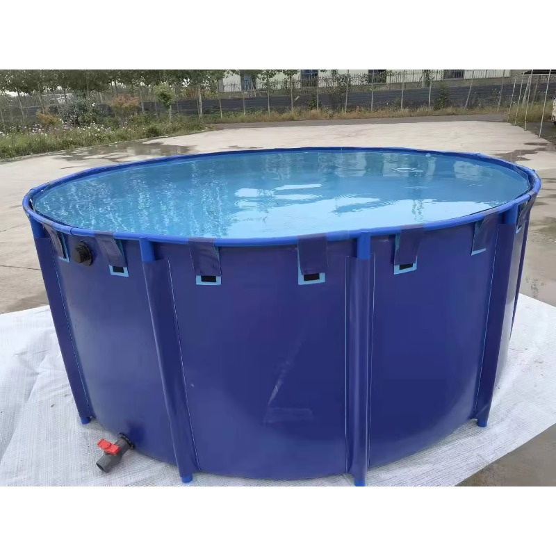 Wholesale Custom Outdoor Large - Aquarium Fish Popular review and price