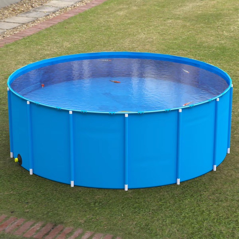 Wholesale Custom Outdoor Large - Aquarium Fish Popular review and price