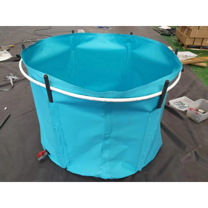 Wholesale Custom Outdoor Large - Aquarium Fish Popular review and price