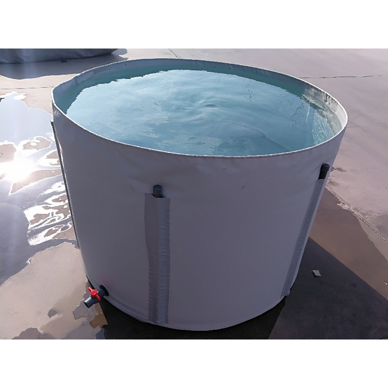 Wholesale Custom Outdoor Large - Aquarium Fish Popular review and price